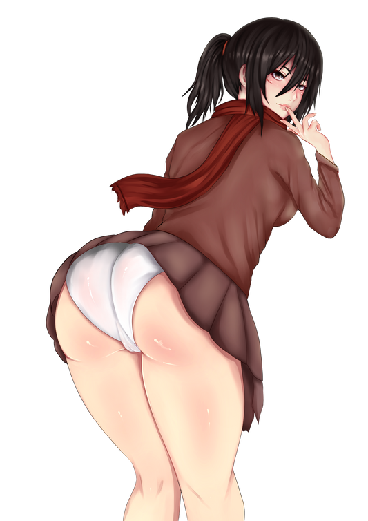 Mikasa H